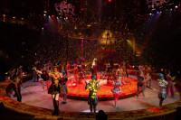 Новое грандиозное шоу Гии Эрадзе «Королевский цирк» стартует в Тульском цирке, Фото: 76