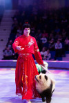 Успейте посмотреть шоу «Новогодние приключения домовенка Кузи» в Тульском цирке, Фото: 99