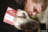 В Туле прошла Всероссийская выставка собак всех пород, Фото: 35
