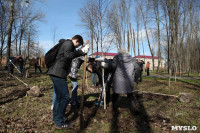 Посадка деревьев в Комсомольском парке, Фото: 28