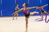 В Туле стартовало первенство Центрального федерального округа по художественной гимнастике, Фото: 91