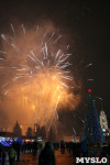 Открытие главной ёлки на площади Ленина, Фото: 47
