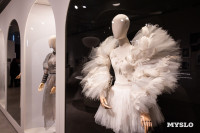 В тульском Фонде искусств открылась выставка, посвященная Майе Плисецкой, Фото: 31