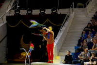 Цирк Инди Ра, Фото: 48