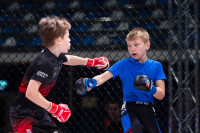 В «Тула-Арене» состоялись областные соревнования по ММА, Фото: 105