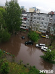 Потоп в Узловой: Магазины и дворы под водой, по улицам плывут караси, Фото: 4