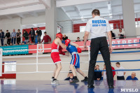 В Тульской области проходит областное первенство по боксу, Фото: 32