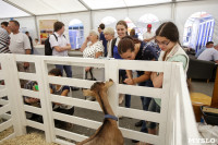 Выставка коз в Туле, Фото: 14