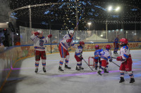 «Академия Михайлова» и Губернский каток 2025, Фото: 45