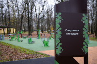 Сквер им. 30-летия ВЛКСМ в Новомосковске, Фото: 96