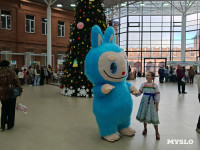 Фестиваль «Шар-папье»: Тульский кремль украсили огромные новогодние бусы, Фото: 65