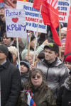 В Туле проходит митинг в поддержку Крыма, Фото: 28