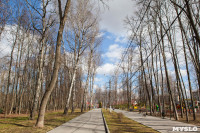 Посадка саженцев в Комсомольском парке, Фото: 8