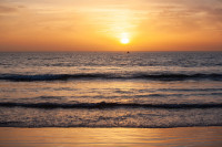 , Фото: 56