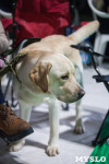 Выставка собак в Туле, Фото: 7