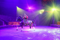 Шоу Гии Эрадзе «5 континентов» в Тульском цирке: феерия уже началась!, Фото: 98