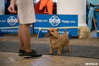 Выставка собак в Туле, Фото: 103