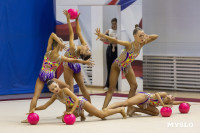 В Туле стартовало первенство Центрального федерального округа по художественной гимнастике, Фото: 53