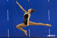 В Туле стартовало первенство Центрального федерального округа по художественной гимнастике, Фото: 20