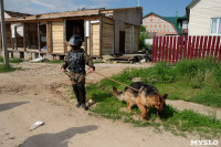 В Плеханово начали сносить дома в цыганском таборе, Фото: 91