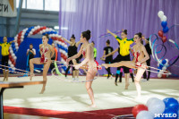 Всероссийские соревнования по художественной гимнастике на призы Посевиной, Фото: 44