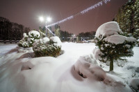Вечерний снегопад, Фото: 29