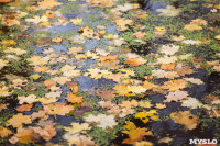 Золотая осень в Ясной Поляне, Фото: 86