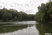 Туляки сообщают о массовой гибели уток в Платоновском парке, Фото: 11