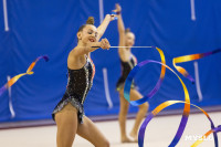 В Туле стартовало первенство Центрального федерального округа по художественной гимнастике, Фото: 84
