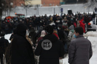 В Туле около 200 человек пришли на несанкционированный митинг, Фото: 13