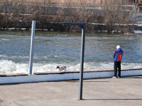 Упа 25 марта 2026, Фото: 12