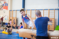 Мужская спортивная гимнастика в Туле, Фото: 24