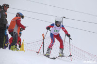 Соревнования по горнолыжному спорту в Малахово, Фото: 143