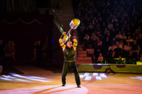 "Чудеса под Новый год" в Тульском цирке, Фото: 39