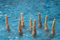 первенство цфо по синхронному плаванию, Фото: 160