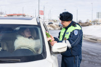 «Цветочный патруль — 2026», Фото: 46