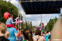 «Евраз Ванадий Тула» организовал большой праздник для детей в Пролетарском парке Тулы, Фото: 46