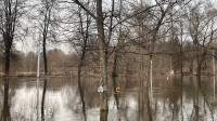 Затопленный Баташевский сад, Фото: 7