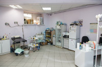 В какой ветеринарной клинике  лечить своего питомца, Фото: 9