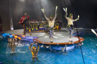 В Тулу приехал цирковой мюзикл на воде «Одиссея», Фото: 26