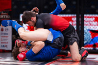 В «Тула-Арене» состоялись областные соревнования по ММА, Фото: 96
