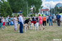 Выставка собак в Туле, Фото: 115