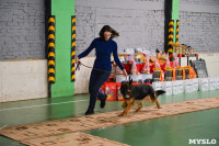 Выставка собак в Туле , Фото: 92