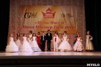 Мини-мисс и мини-мистер Тула-2014., Фото: 14