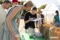 «Школодром-2025», Фото: 340