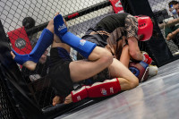 В Новомосковске прошел Чемпионат и Первенство Тульской области по ММА, Фото: 37