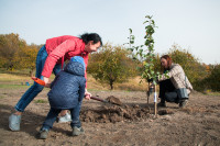 В Ясной Поляне посадили яблони, Фото: 31