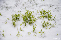 Мартовский снег в Туле, Фото: 52