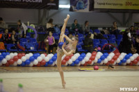 Всероссийский турнир по художественной гимнастике, Фото: 112