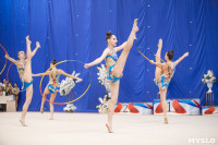 Соревнования по художественной гимнастике на призы благотворительного фонда «Земляки», Фото: 96